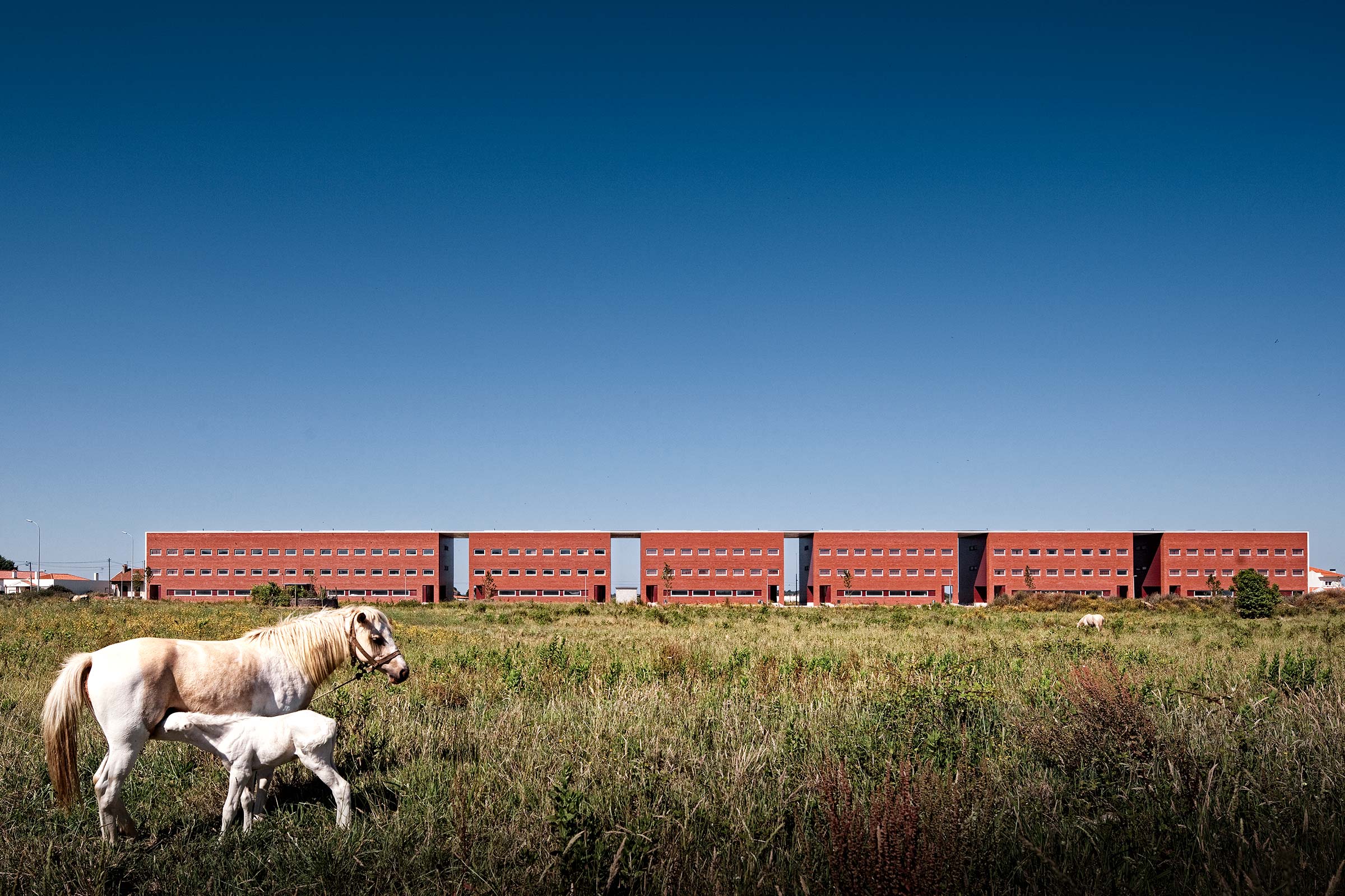 Residências de Estudantes do Crasto, Universidade de Aveiro
